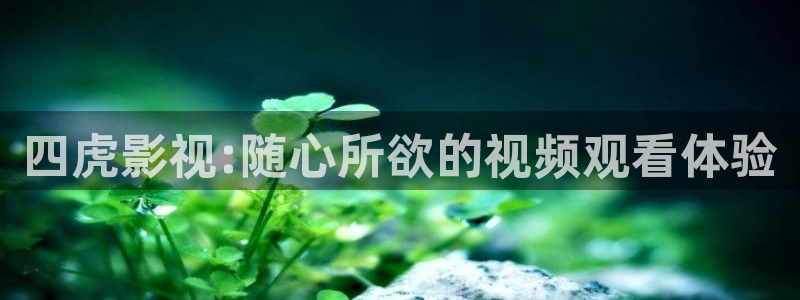 奇优电影在线：四虎影视:随心所欲的视频观看体验