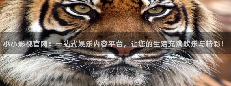 奇优影院手机影院在线：小小影视官网：一站式娱乐内容平台，让您的生活充满欢乐与精彩！