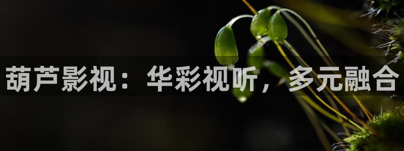 奇优影院官网：葫芦影视：华彩视听，多元融合