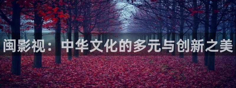 奇优影院2020电视剧：闽影视：中华文化的多元与创新之美