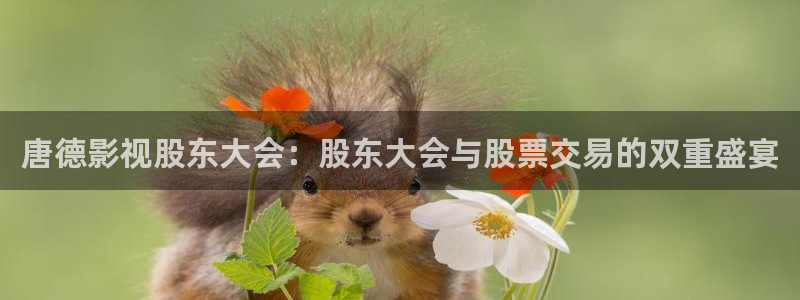奇优影院热播电影有哪些：唐德影视股东大会：股东大会与股票交易的双重盛宴