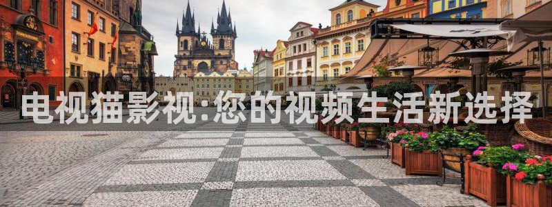 奇优影院理论片第一页：电视猫影视:您的视频生活新选择